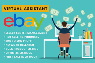 be your professional ebay virtual assistant, walmart ebay store VA