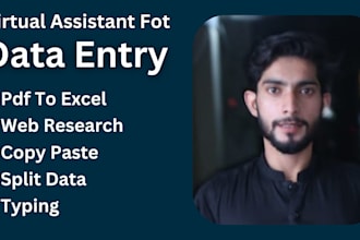 accurate and fast data entry services excel, word, PDF