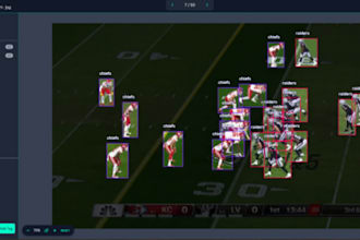 do image, video, polygon and text annotation services
