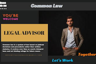 expert common law consultation for family, contract, business, tax, criminal law
