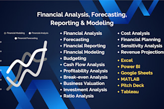 perform financial analysis, forecasting, reporting and modeling