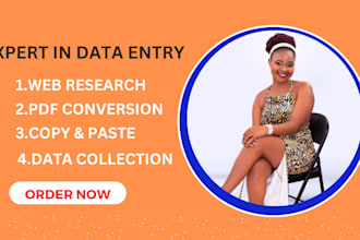 do data entry skillfully, copy paste, excel data entry, pdf to excel
