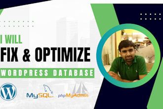 boost your wordpress performance with database cleanup and optimization