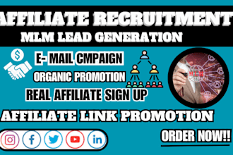 do organic website promotion, affiliate recruitment and viral link promotion