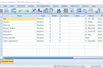 do spss data analysis
