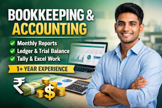 do bookkeeping and accounting in tally and excel