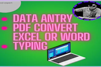 really expert excel, data antry, pdf, convert excel or word, typing