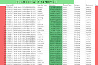 excel data entry, copy paste, convert PDF, typing, format data, data visualize