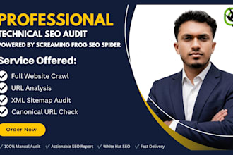 do a technical SEO audit and crawl analysis