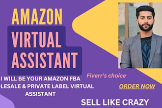 be best amazon fba wholesale virtual assistant for fba setup and product hunting