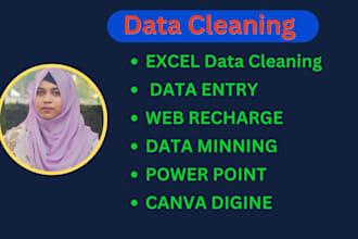 do professional excel data cleaning and formatting service