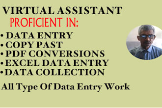 data clean, data format, data merge, PDF to excel, typing