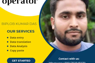 expert in data entry,data analytics,microsoft word, excel sheets