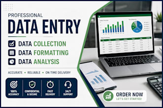 do data entry, data collection, data formatting and analysis