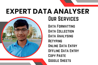 do data aynalizing, formating, data entry, data collection