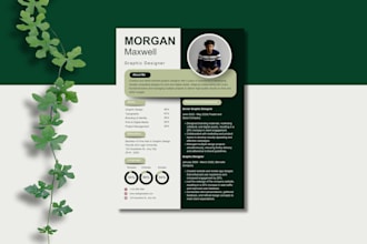 create professional infographic cv design, resume and cv templates