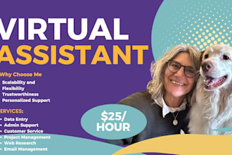 be your dedicated expert virtual assistant