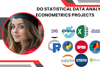write statistical data analysis econometrics assignments reports using r,excel