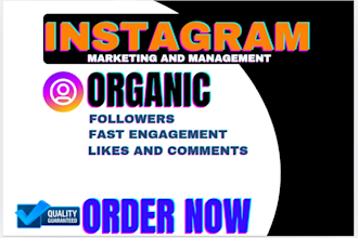 do super fast organic instagram growth