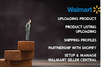 do walmart product listings,ppc and wfs management VA