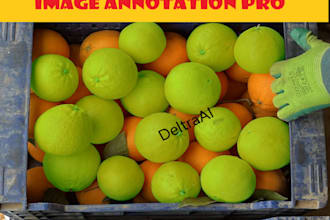 do data annotation, data labeling using cvat, roboflow for ai and ml models