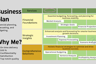 develop a business plan with financial planning, forecasting, and budgeting