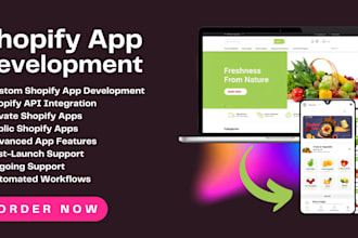 shopify app developer integrate shopify API in web app private and public app