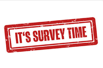 create professional google form or questionnaire within hours