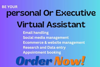 be your proactive personal assistant executive virtual assistant to free up time