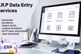 be your erp data entry partner
