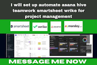 set up automate asana hive teamwork smartsheet wrike for project management