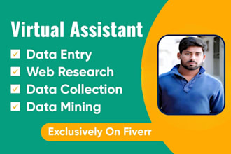 be your virtual assistant for data entry, data mining, copy paste, web research