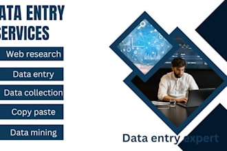 do data entry, file conversion, web research and copy paste