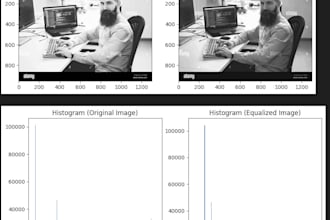 be ai engineer designing advanced machine learning models and ml