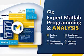 do matlab project and programming