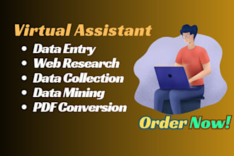 be your virtual assistant for data entry, data mining, copy paste, web research