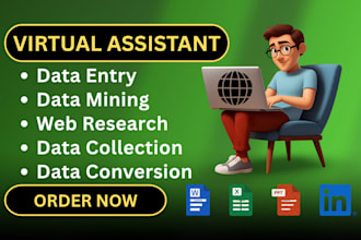 be your virtual assistant for data entry, data mining, web research