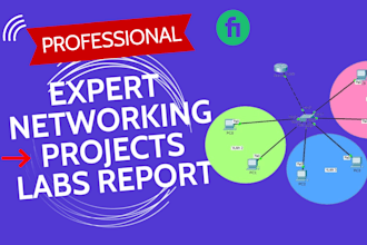 do computer networking tasks, labs and report writing