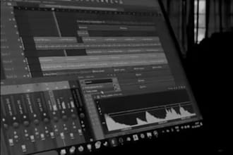 remake any beat for you in less than 1 day without any copyright issue