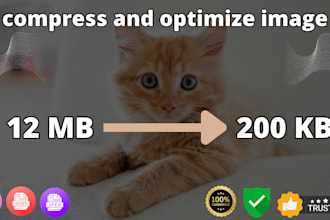 improve, resize, compress, and optimize images for web use