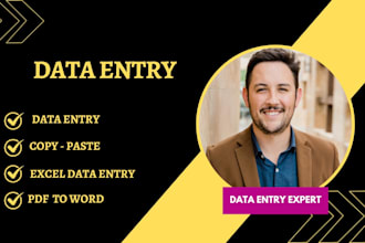 do fast data entry, copy paste, excel data entry, exal and word data entry