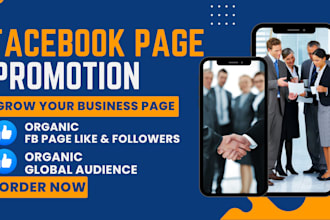 get 100k organic likes and followers increase your fb page