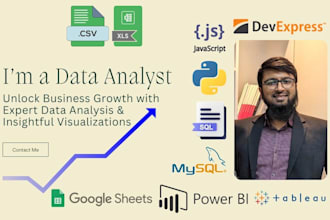 provide expert data analysis, insights, and visuals
