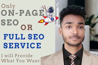 provide expert on page and full SEO services to rank higher