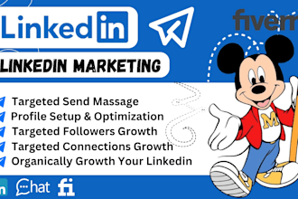 do organic linkedin marketing promotion with real followers