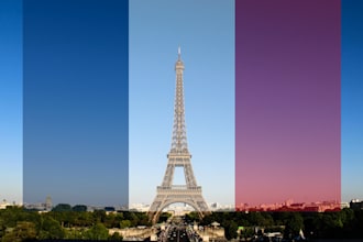 proofread french text revision correction francais