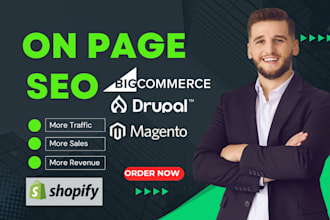 do onpage SEO optimize for wordpress shopify wix squarespace website