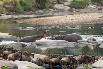 create a detailed itinerary and organize a personalized safari in kenya