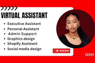 personal executive virtual assistant administrative shopify assistant data entry