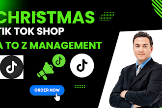 build tiktok dropshipping theme pages and run ads